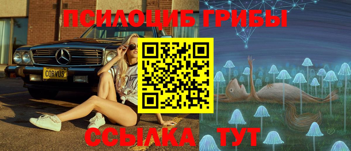 Нововоронеж  Галлюциногенные грибы прущие грибы  Вход с VPN 